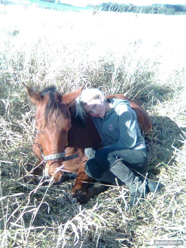 Holstener cheri - se mig lige  billede 1