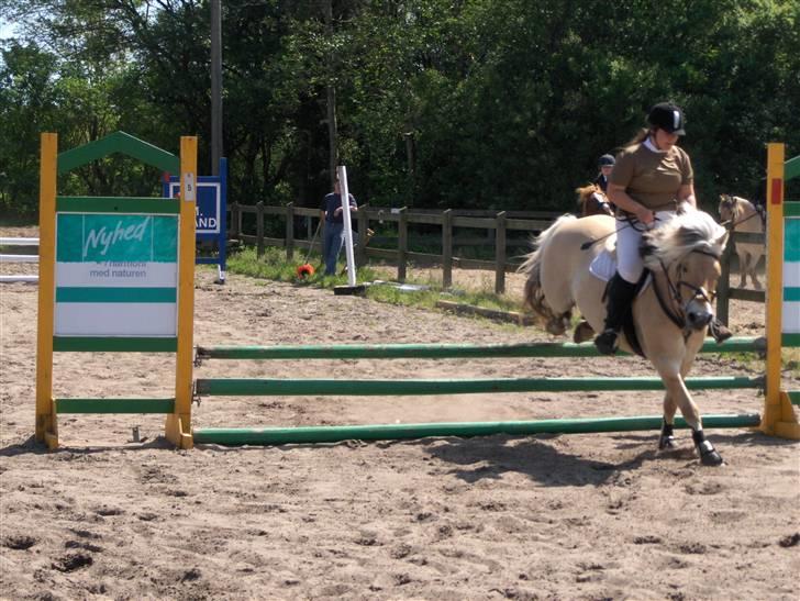 Anden særlig race Vesterhedelunds Seiko Boy - Vores stævne billeder er næsten alle sammen taget med "gammelt" kamera, så billederne ville bare være dårlige, men her er et fra i sommers hvor vi var med i en 80cm. høj. tidsspringning for heste som vi fik en 2. plads i. :)  billede 19