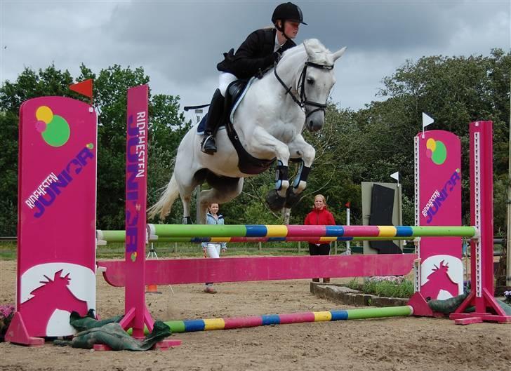 Welsh Pony (sec B) Bakkegaardens MufasaSOLGT - Ulsted c.stævne, nr 3 til distriksmesterskab billede 9