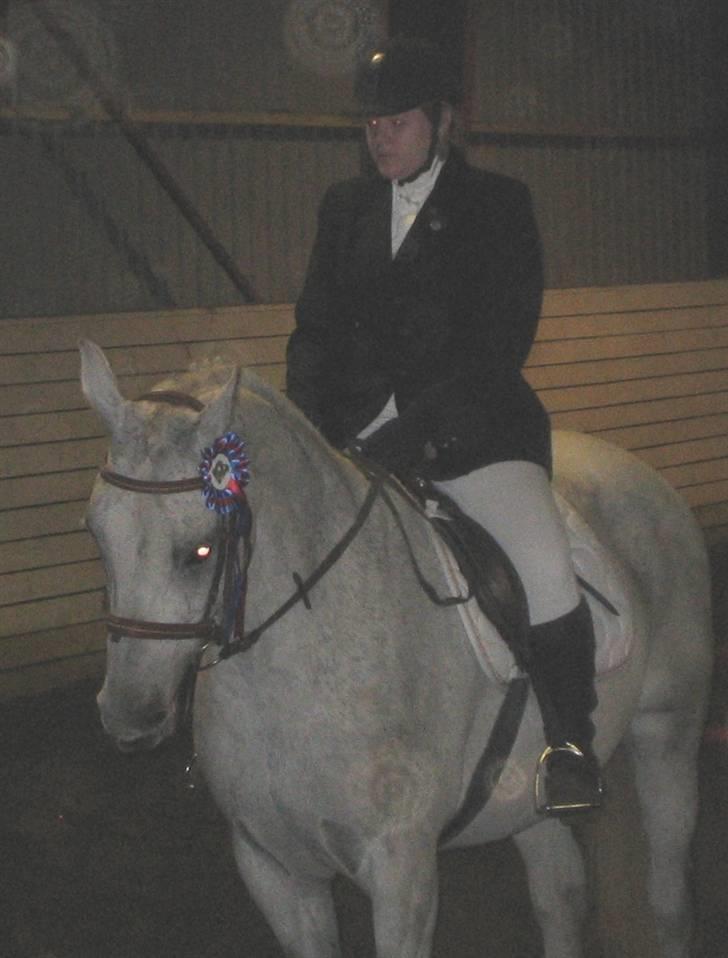 Anden særlig race Dos  - Dos & jeg til stævne 2006. 2 plads billede 3