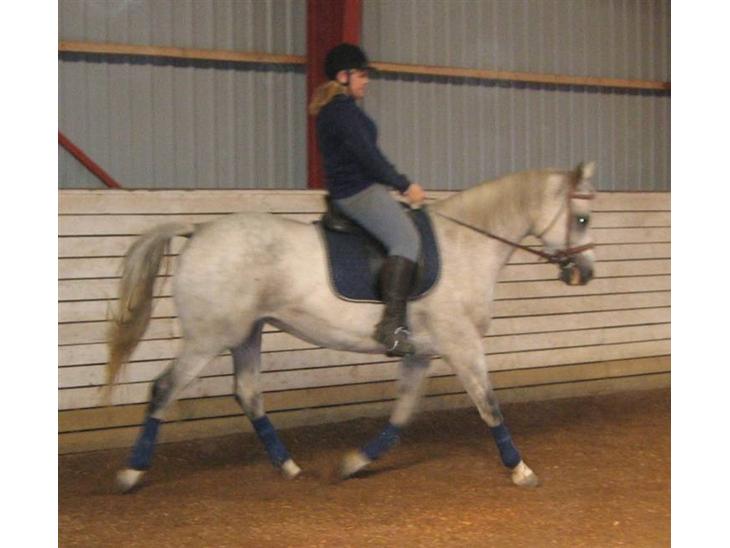 {{currentPhoto.altText}} billede {{currentPhoto.number}}