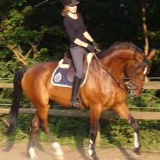 Holstener Ravella #Solgt#