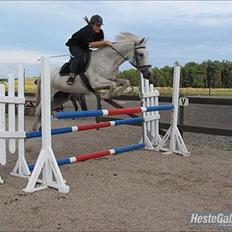 Anden særlig race Jasmin Sabah <3 Bobo