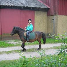 Anden særlig race Gnom