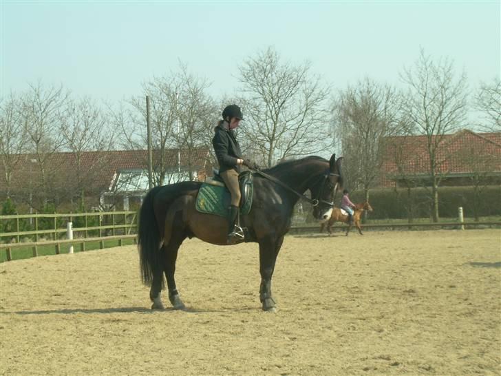 Anden særlig race | Thuffy - Parade.. :) billede 7