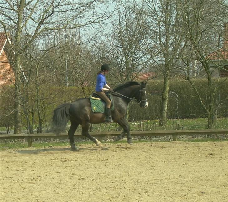 Anden særlig race | Thuffy - Lidt galop.. (: billede 8