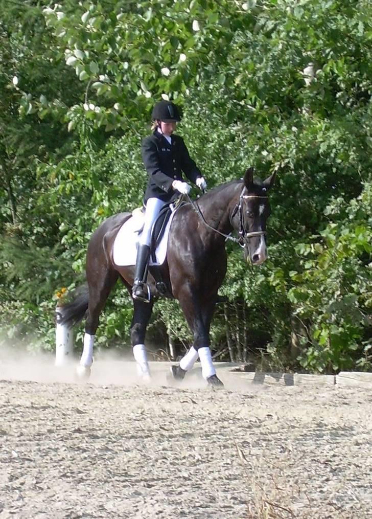 Anden særlig race | Thuffy - Til stævne i BORK sep. 2006.. 1. plads i LC2.. -  TOTALT YNGLINGSBILLEDE! <3 billede 14