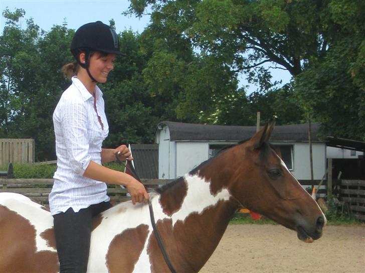 Pinto -Mustang Sally- *Part* - Når det er os, er intet umuligt.. billede 18