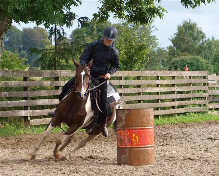 Pinto -Mustang Sally- *Part* - That´s how you barrel race ;D billede 19
