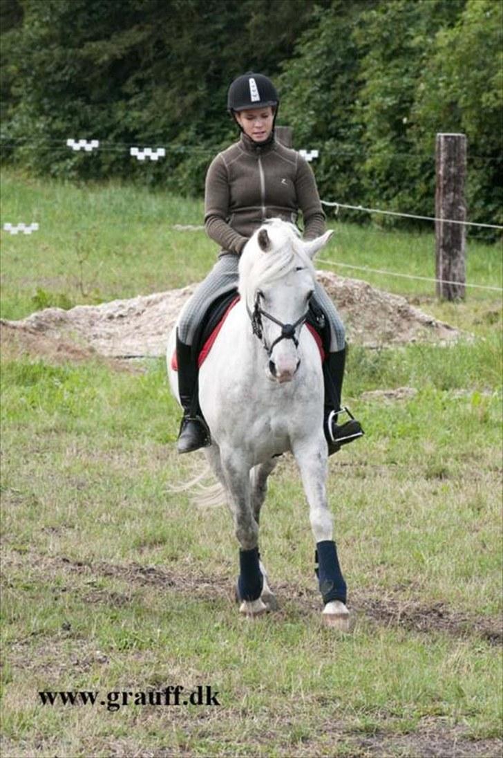 Anden særlig race Fiona *solgt* - Ridelejr på Grauff 2010. Fotograf: Grauff "17" billede 16