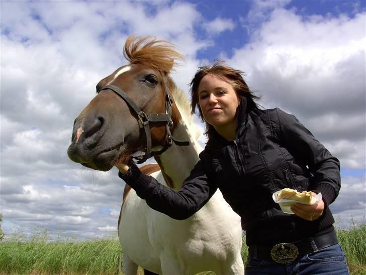 Pinto Zindy - SOLGT - Janni og Zindy :D Flotte begge to ? :p billede 12