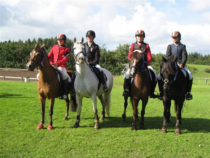 Welsh Pony (sec B) Bakkegaardens MufasaSOLGT - Vores hold vi stillede op med til distriksmesterskaberne billede 15