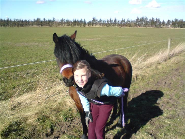 Dartmoor Beauty Star Rice  - : billede 17