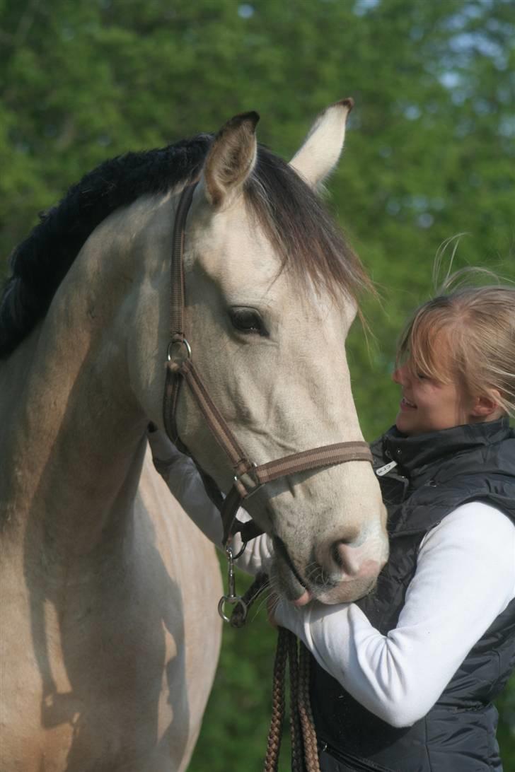 Frederiksborg Nubia billede 12