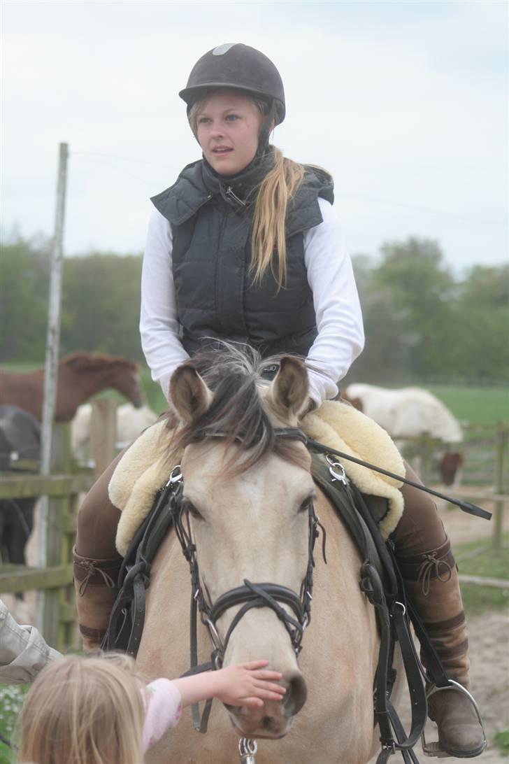 Frederiksborg Nubia billede 14