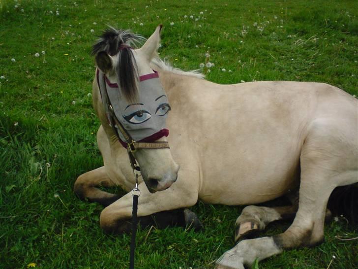 Frederiksborg Nubia billede 15