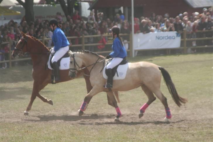 Frederiksborg Nubia billede 17