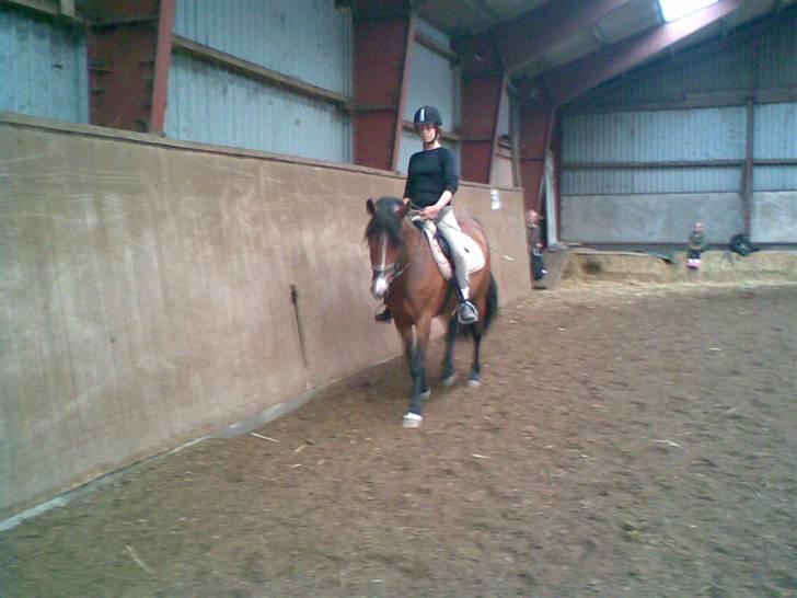 DSP Bæklunds Lejka Solgt billede 17