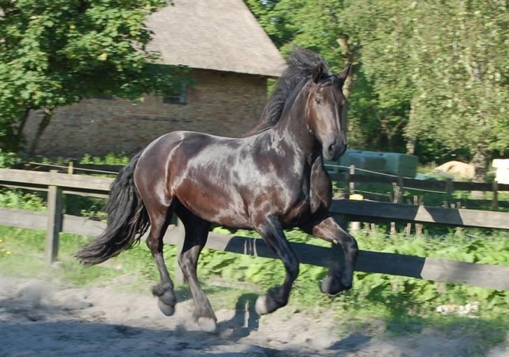 Frieser Maike Rozalien J. billede 11