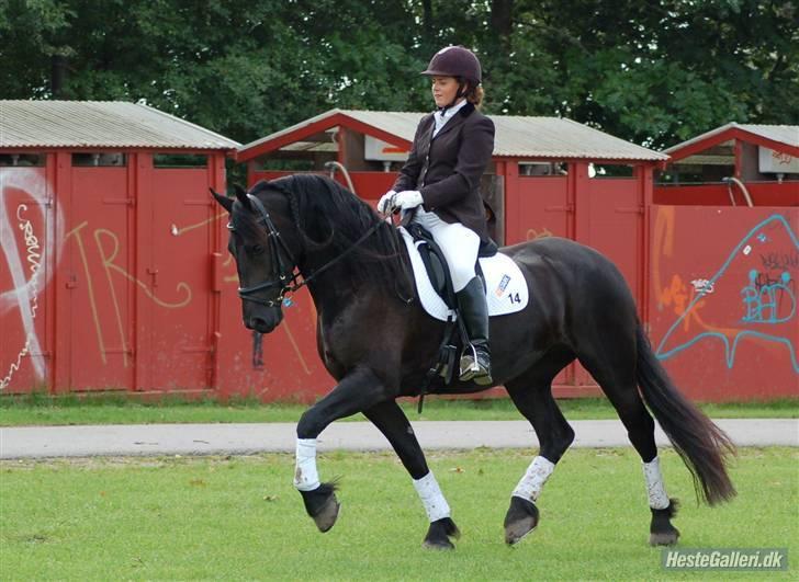 Frieser Maike Rozalien J. - Store Hestedag 2008 billede 12