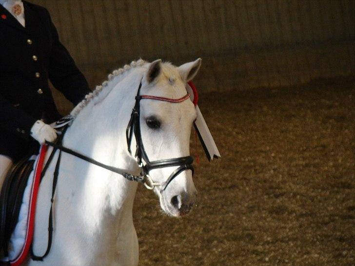 Anden særlig race Silver Picasso*A pony* - Sille og jeg ved præmie overrækkelse til finalen i Ecco cup i Vallensbæk 2010. billede 1