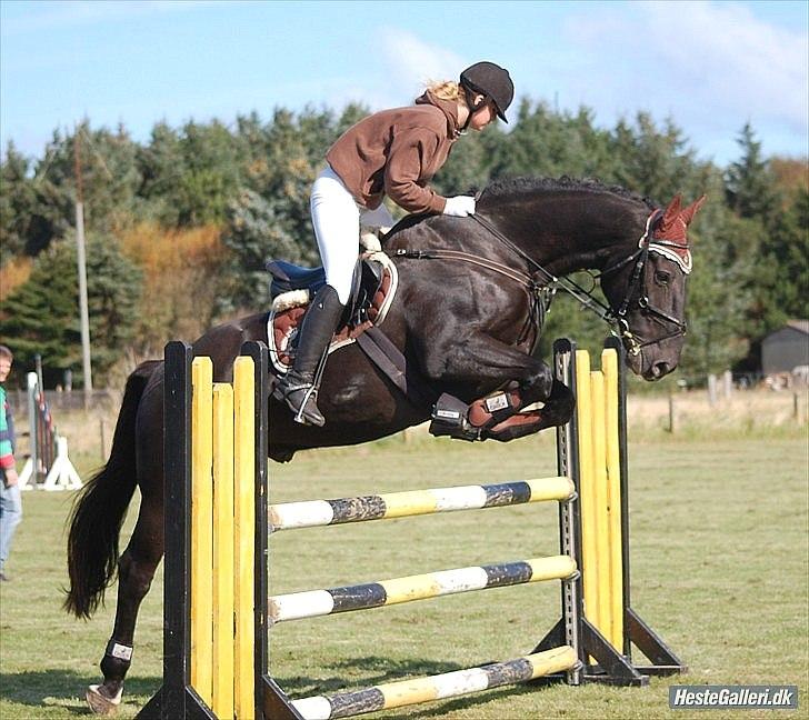 Oldenborg møllegårds mokka  - foto: annika  billede 9