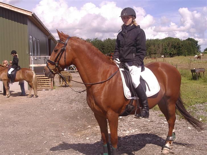 DSP Fifi - Worlds greatest † - Vi venter tålmodigt . Fifi undersøger lige omgivelserne .  billede 13