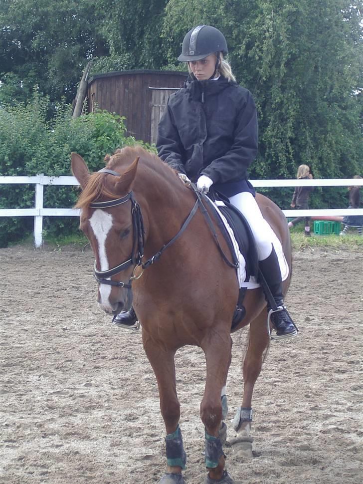 DSP Fifi - Worlds greatest † - Opvarmningen til LB3 . 1.plads med 68,44 %. (: Dygtig Fifi :D billede 14