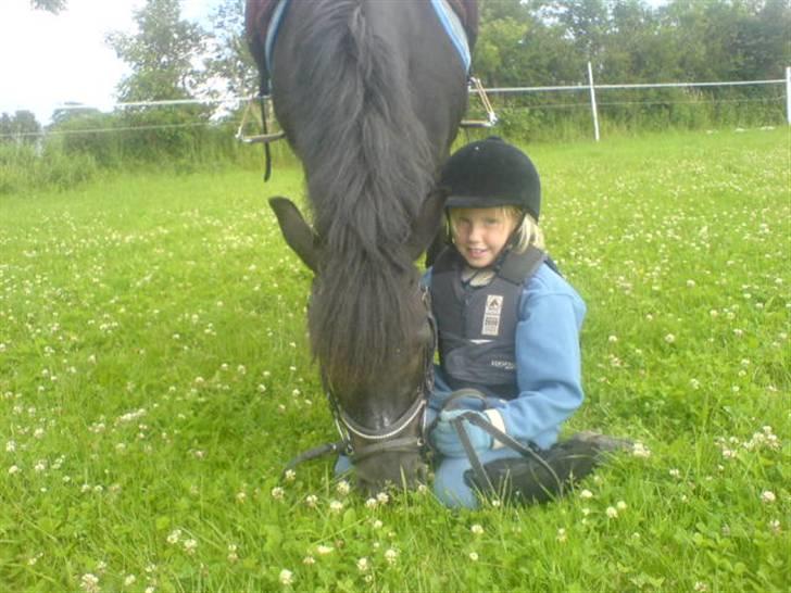 Anden særlig race Bobo SOLGT billede 5