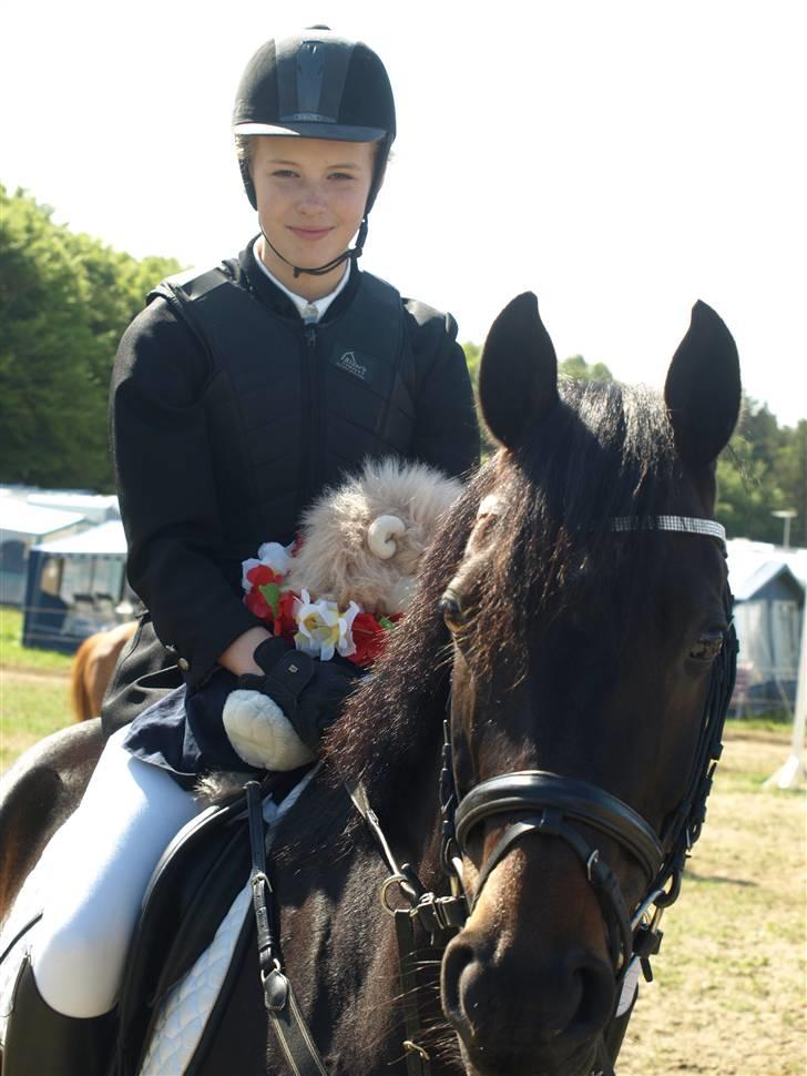 DSP Tovdal´s Ace of diamond   - nr. 1 )Velkommen til Ace´s profil. fra mors 2009 billede 1