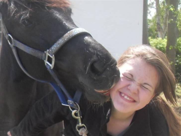 Pinto Blackie - Jagtponyen - I will never let you go billede 16