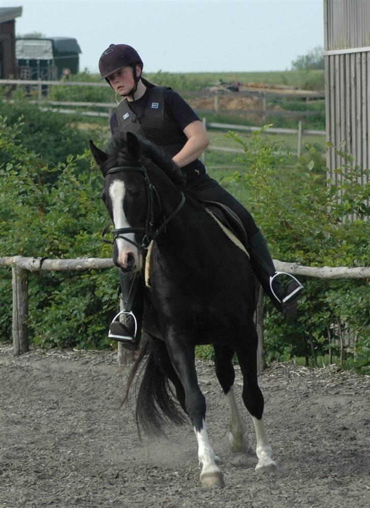 Holstener Priors Maluta - dejlige maluta og michala billede 3