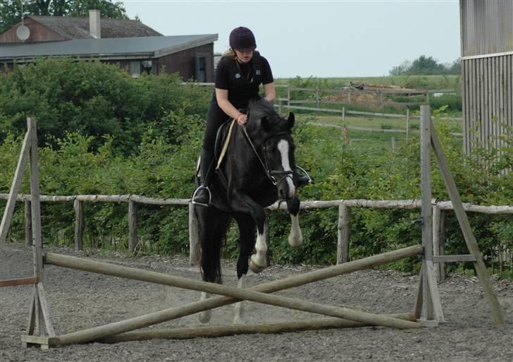 Holstener Priors Maluta - et lille bitte hop da vi prøvede hende billede 4