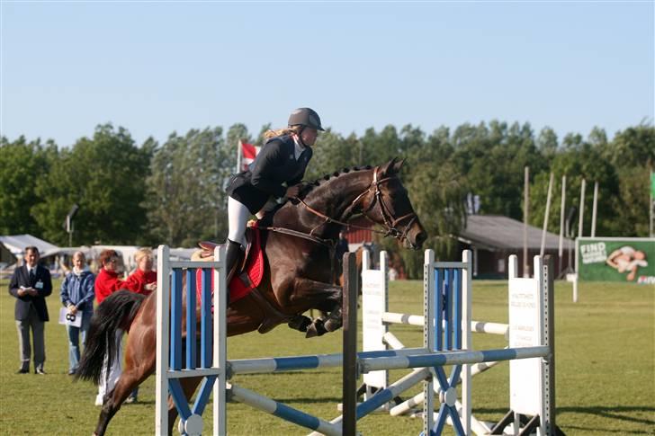 Dansk Varmblod Højbo´s Chana - 15) Chana og jeg under springningen på dyrskuet 2009 billede 15