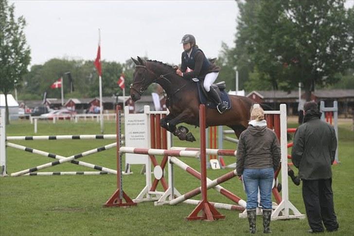 Dansk Varmblod Højbo´s Chana - 16) springning på dyrskuet 2010 billede 16