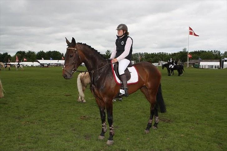 Dansk Varmblod Højbo´s Chana - 17) mig og Chana, til præmieoverrækkelse på dyrskue 2010 billede 17