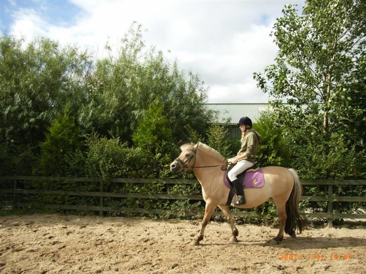 Fjordhest *Nejla* SOLGT!!! - Julie (Min søster, som der også ejer Nejla) rider på hende...Ved godt hun tager hoved lidt op :) billede 4