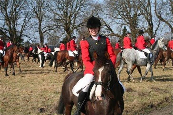 DSP Red Lady -  tidl. pony R.I.P :'( - Før vi red afsted til begynderjagt  billede 12