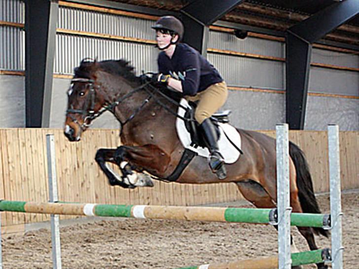 Anden særlig race Sally (solgt) - oppe ved JM Horses... billede 10