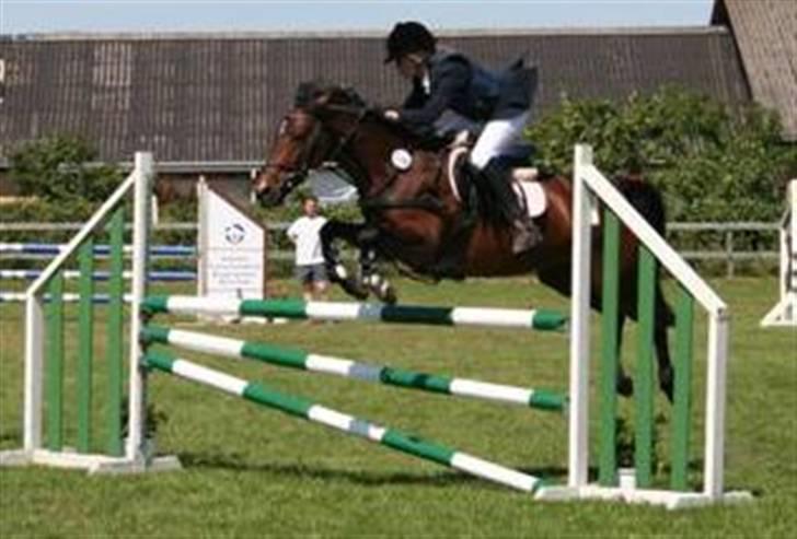 Anden særlig race Sally (solgt) - Stævne i Nejst billede 11