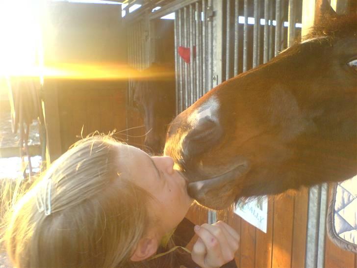 Anden særlig race Sally (solgt) - elsker dig og vil altid gøre det<3 billede 12