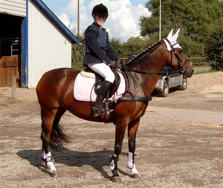 Anden særlig race Sally (solgt) - til Nordjysk Mesterskab<3 billede 13