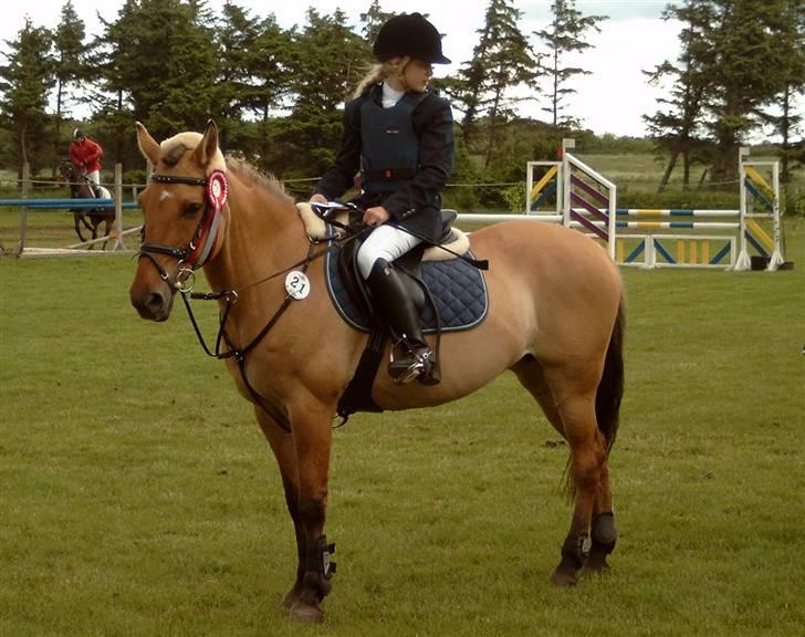 Anden særlig race Flicka R.I.P - en af vores utallige føste pladser<33 billede 11