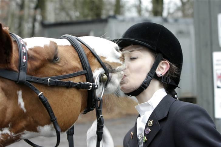 Pinto + Welsh Låddenhøjs Zioux  - 15# tak for kampen min skat :´) det perfekte makkerpar :´)  <´3 fotograf: Flemming S :) MÅ IKKE KOPIERES!!!! billede 15