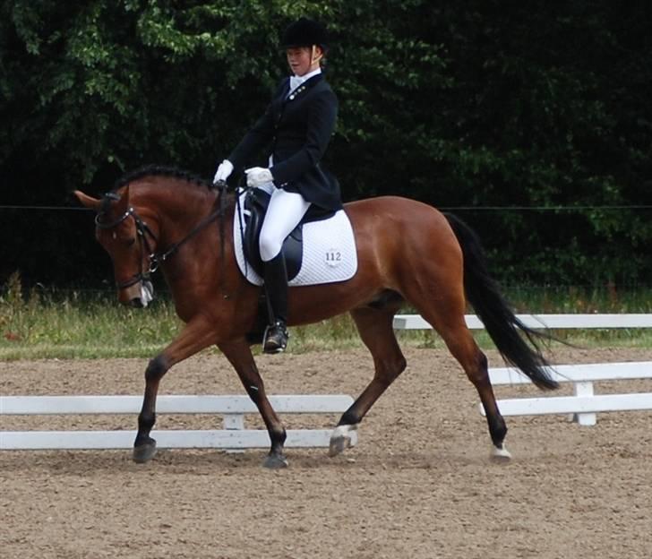 New Forest Egeballes J.R. B-pony - Jeg ved godt, at han er meget dyb - men han var bare mega dårlig i den klasse. - og i stedet for at opgive, red jeg ham bare godt igennem. (Sydjysk mesterskab hold-klassen 2007) (Vejle) billede 4