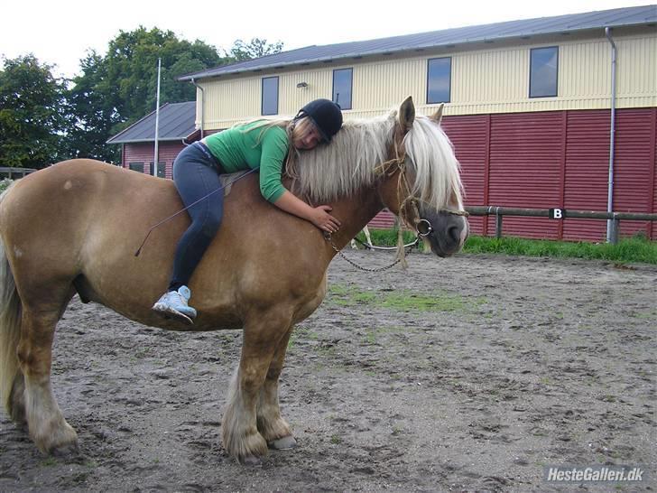 Jyde Bjarke <3 *SOLGT : '( * billede 5