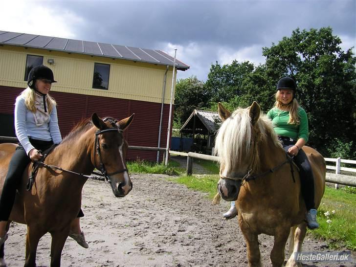 Jyde Bjarke <3 *SOLGT : '( * - we der hva mie og horiont min bedstese ven jahh :D billede 9