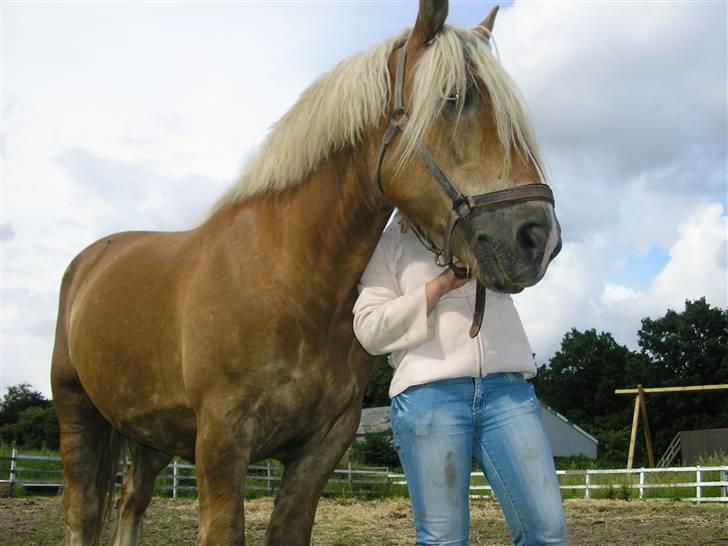Jyde Bjarke <3 *SOLGT : '( * billede 12