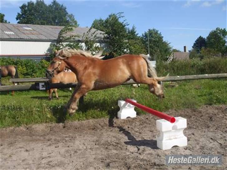 Jyde Bjarke <3 *SOLGT : '( * billede 13