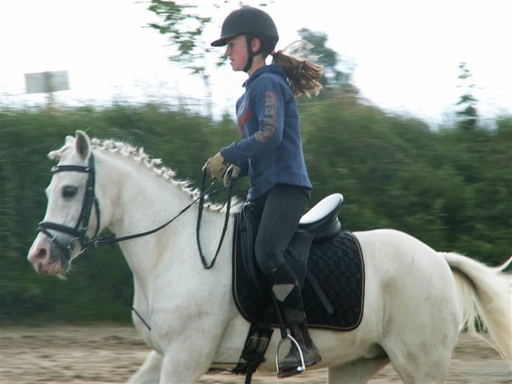Anden særlig race Stella *RIP* - mig og stella rider lidt dressur billede 7